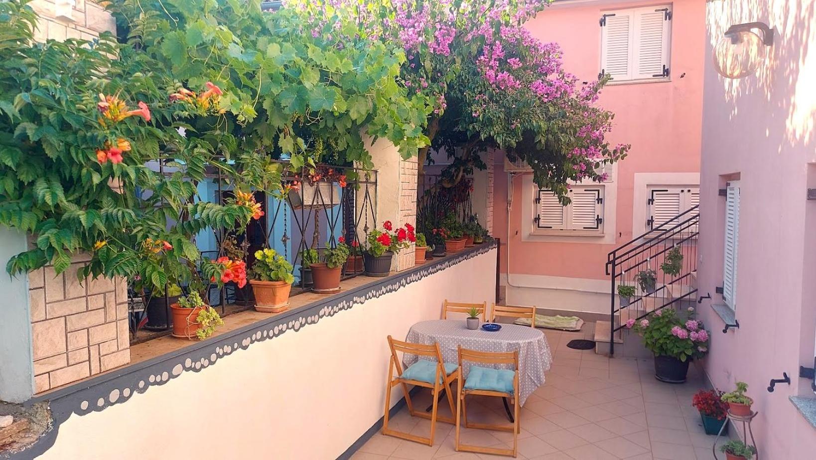 Petra Apartment *
